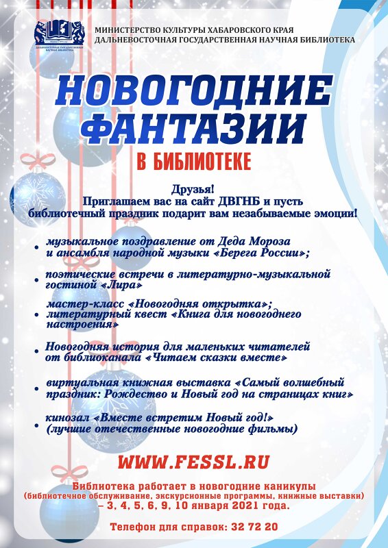 Планы На Новогодние Каникулы В Библиотеки