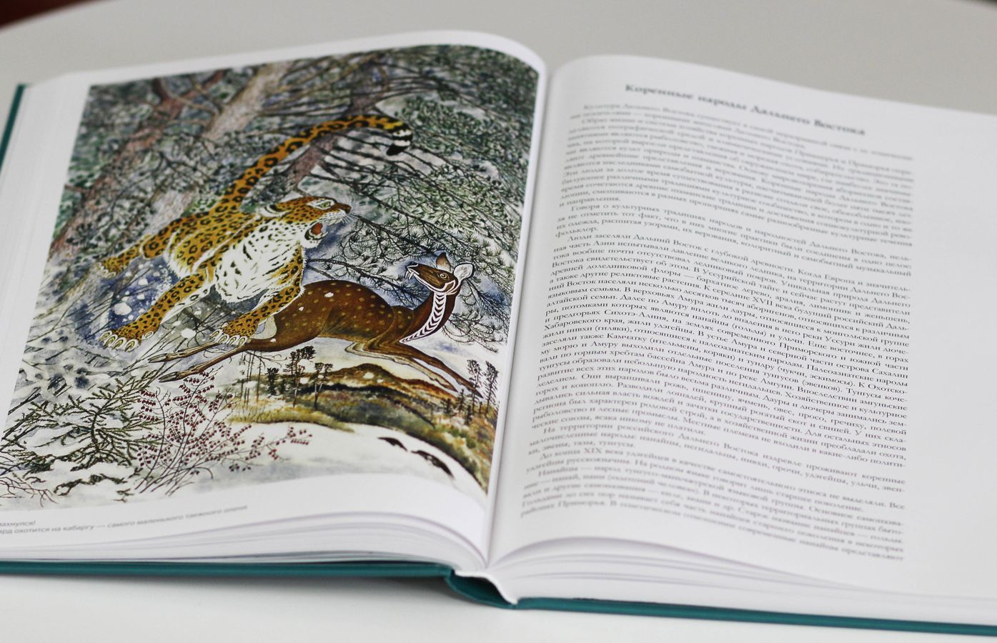 Книги здесь