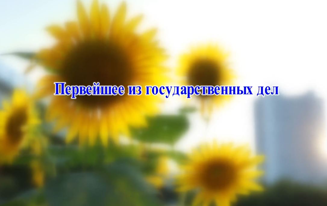  Первейшее из государственных дел 